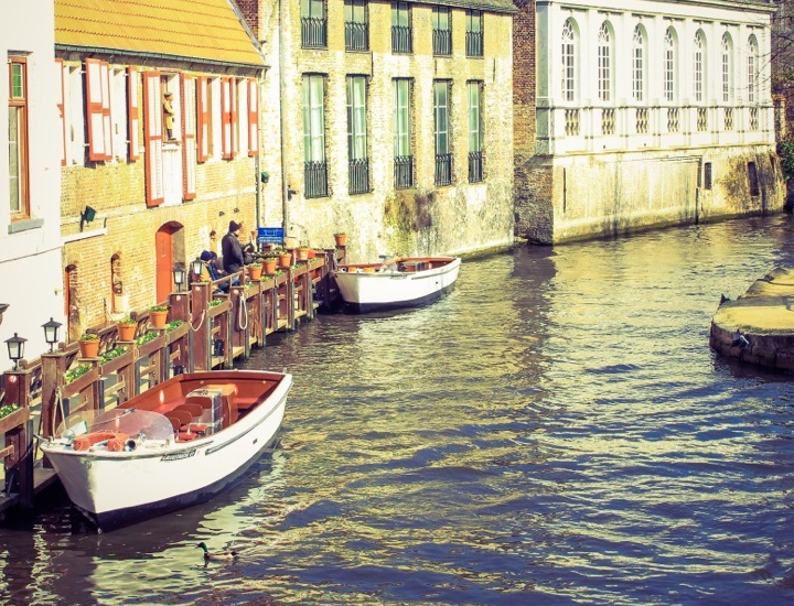 渠道正规的网页端ddos