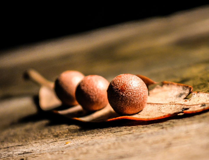 高速云存储的ddos在线网页端