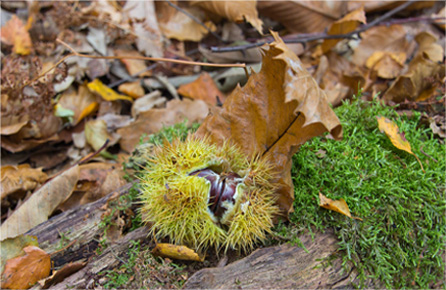 ip攻击器网页版